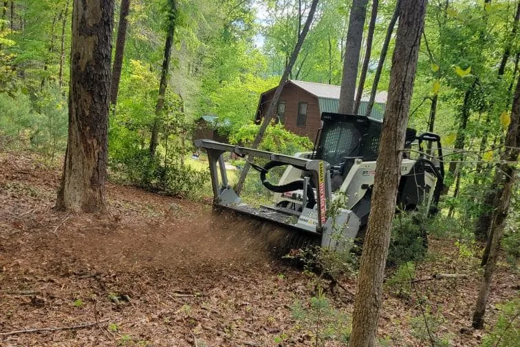 Tracked forestry mulcher grinding brush between hardwood trees