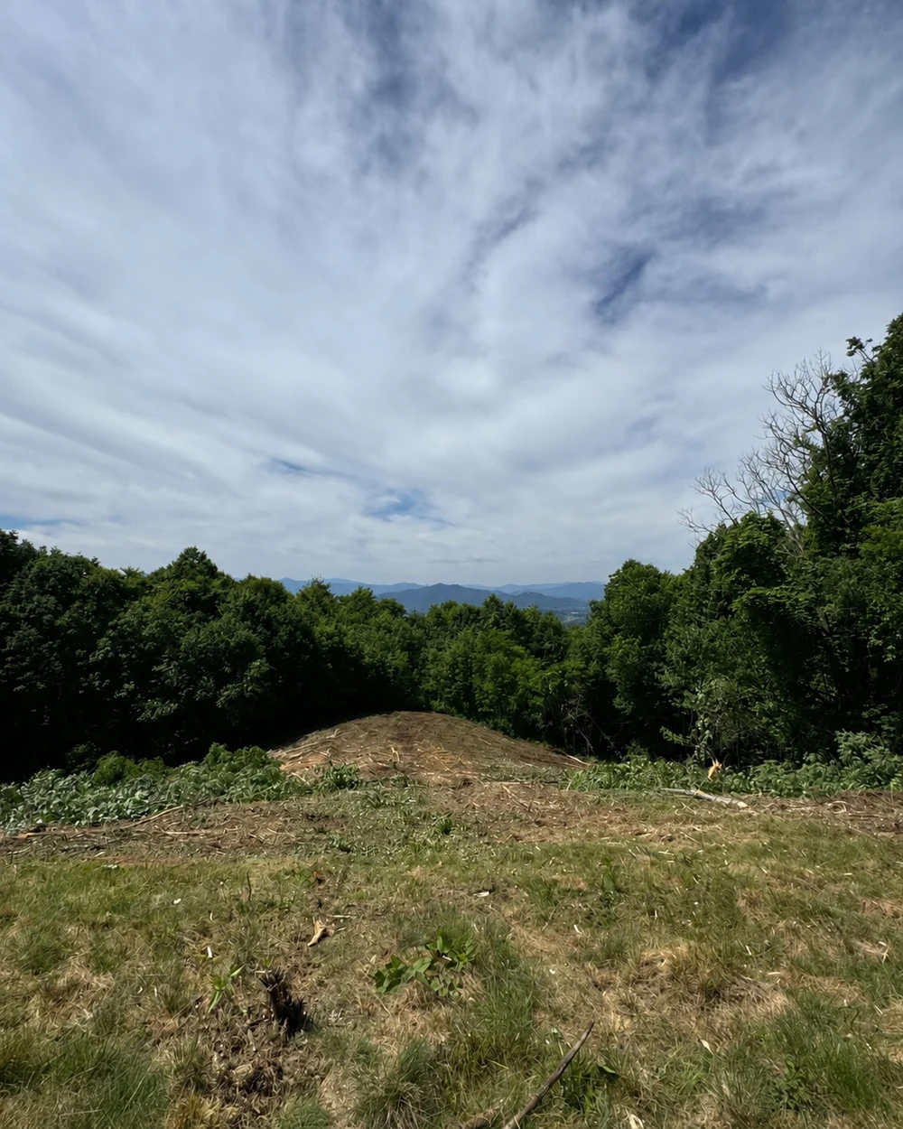 After clearing, open ground leads toward a visible mountain view