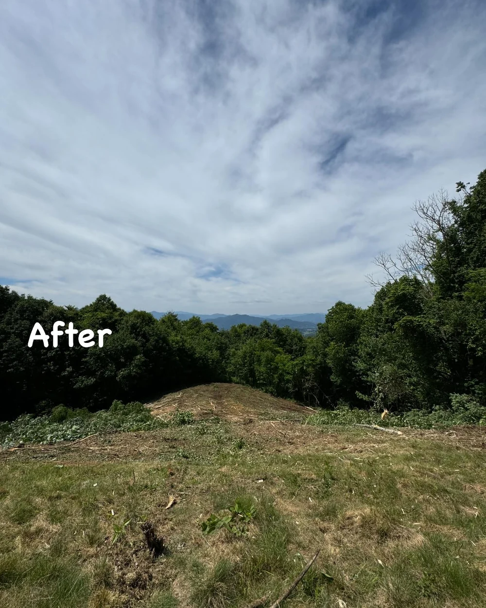 After clearing, open ground leads toward a visible mountain view