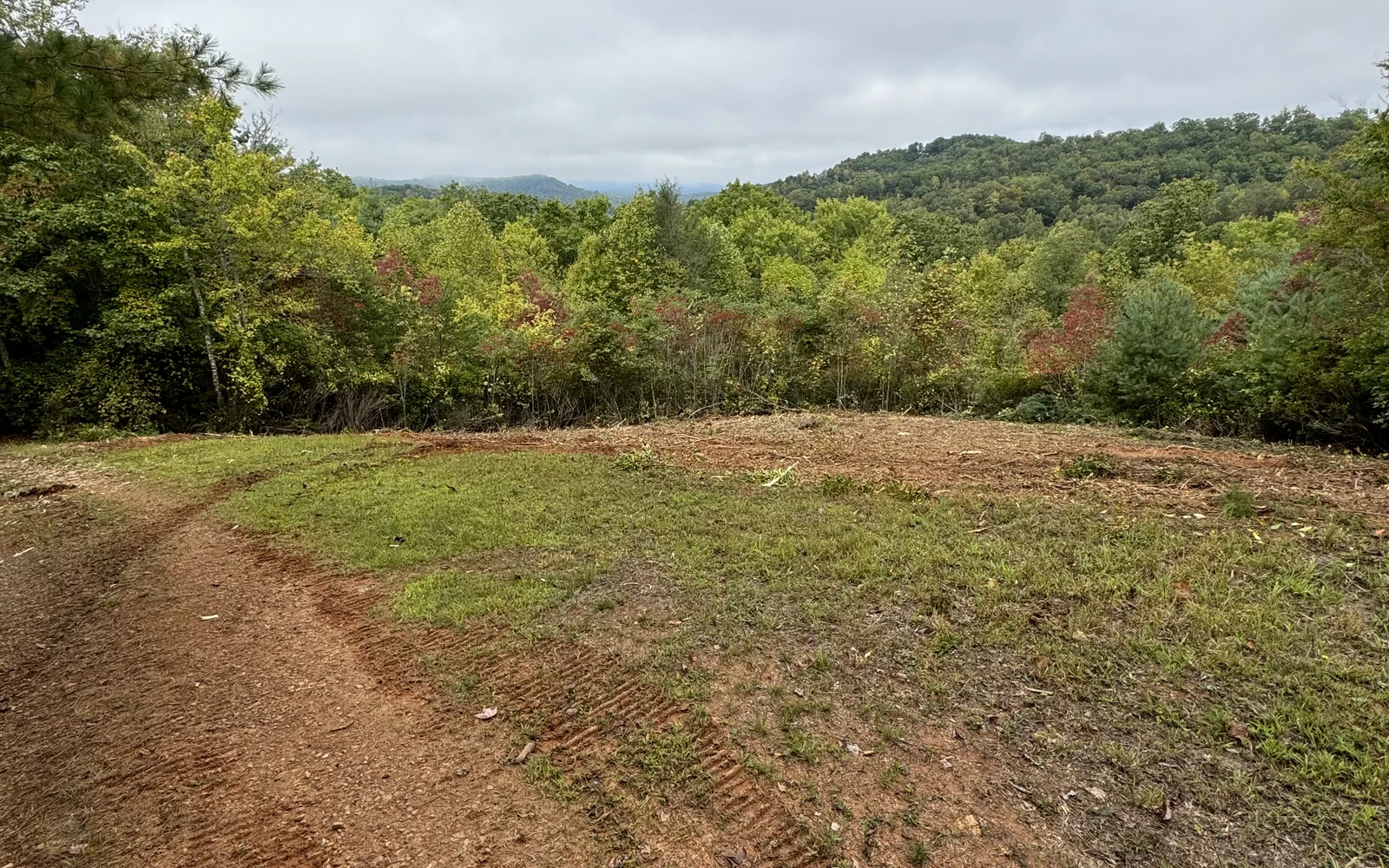 Cleared hillside opening toward a mountain ridge beyond the tree line