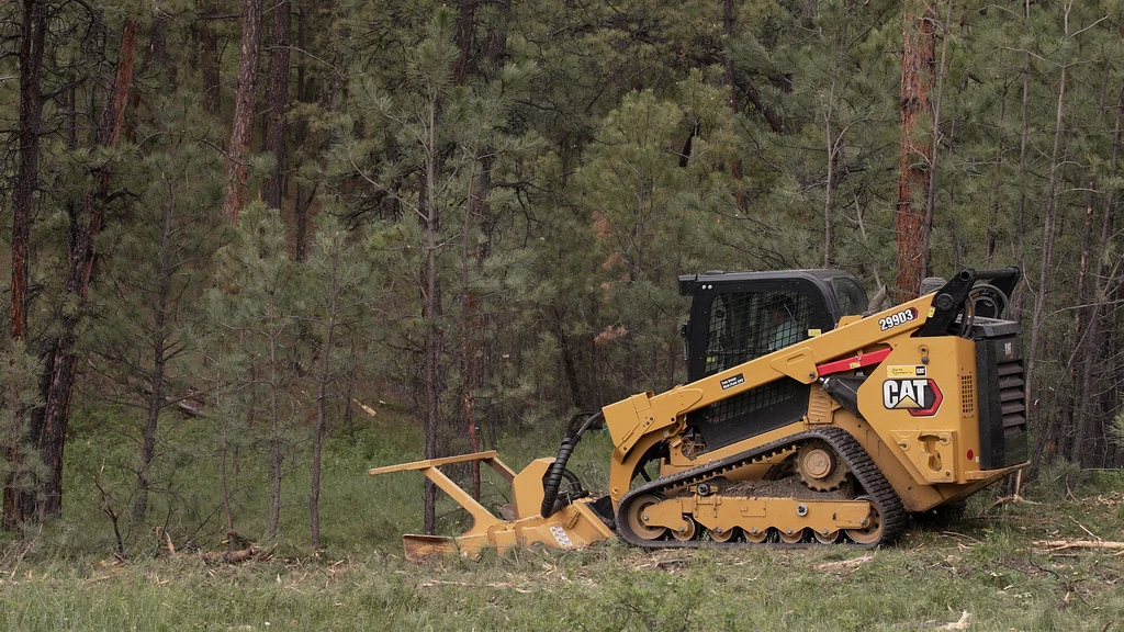 Tracked forestry mulcher working among pine trees