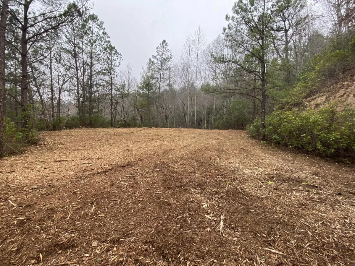 Wide area of freshly mulched ground bordered by pine trees and shrubs