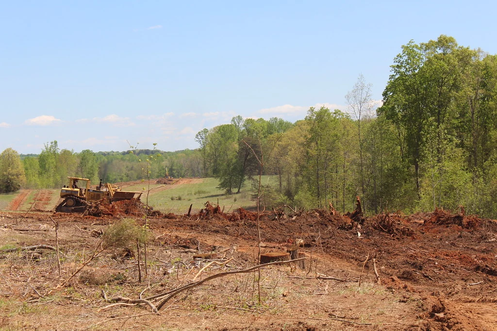 Cleared corridor through wooded land in North Carolina