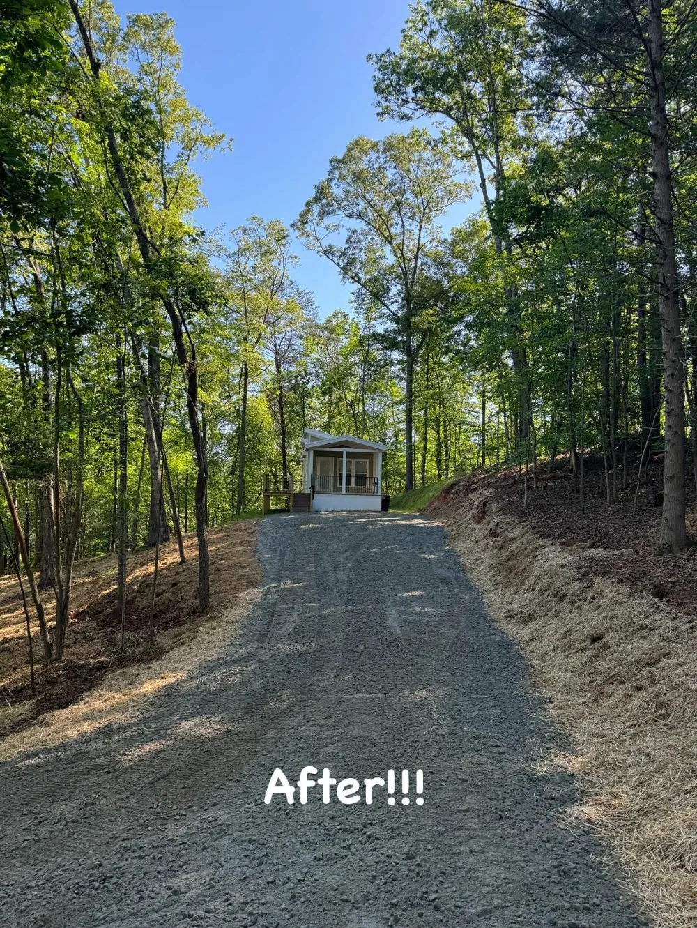 After: the same gravel drive with its banks cleared and more open sky overhead