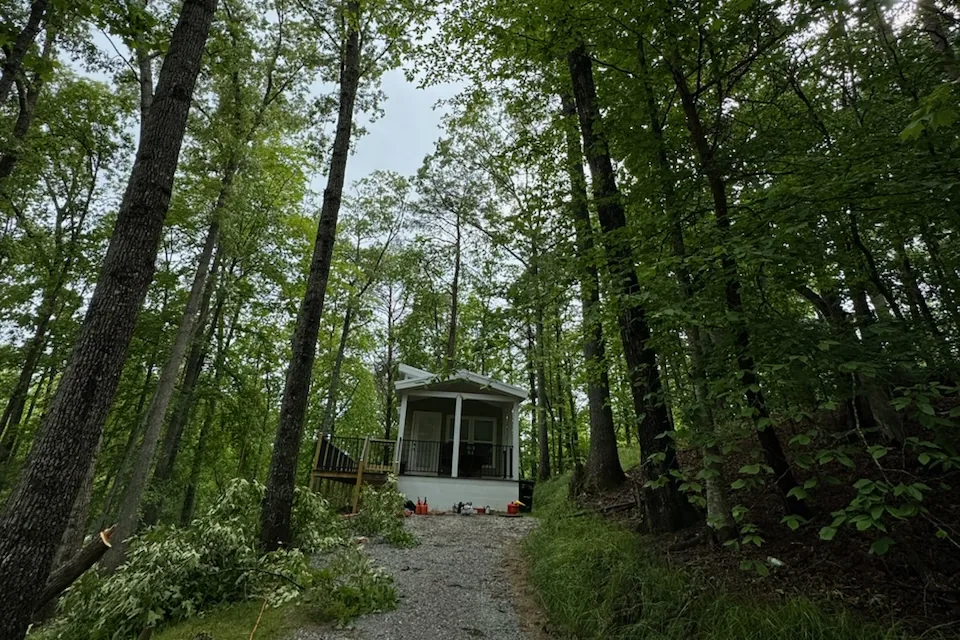 Gravel drive running between tall trees to a small cabin, with cut brush along one side