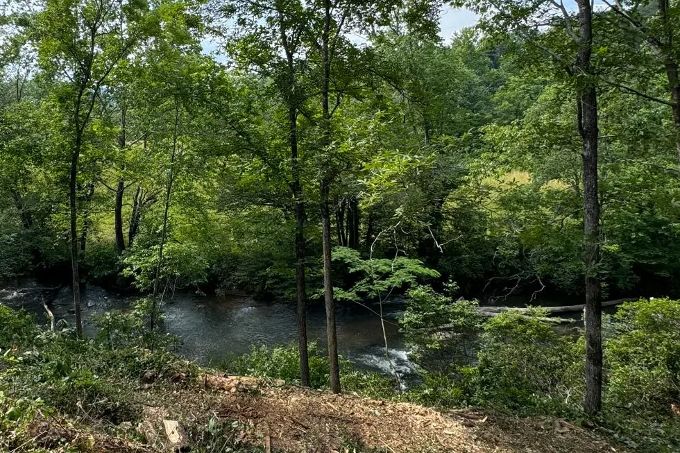 Opened view through hardwood trees to a stream below a cleared bank