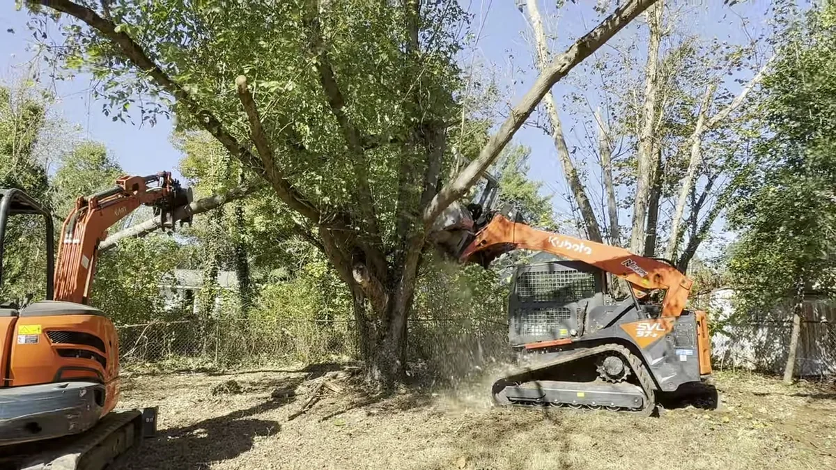 Two machines working in a wooded area near a standing tree